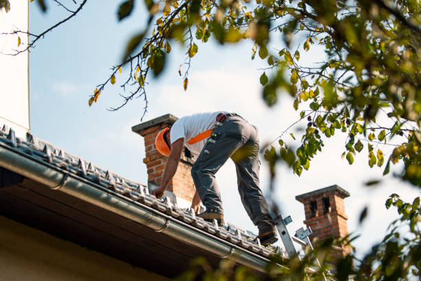 Best Flat Roof Repair Services  in Stanley, ND