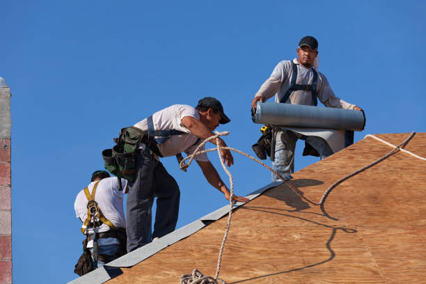Best Roof Gutter Cleaning  in Stanley, ND