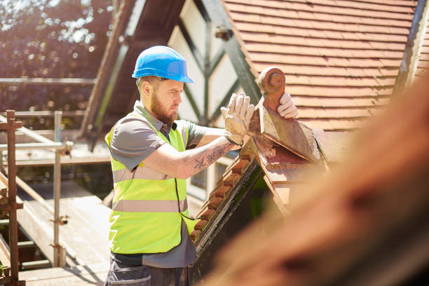 Best Roof Repair Services  in Stanley, ND