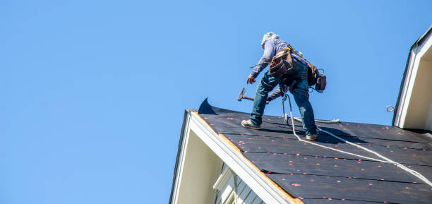 Best Flat Roof Repair Services  in Stanley, ND